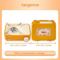 Portable Gas Stove