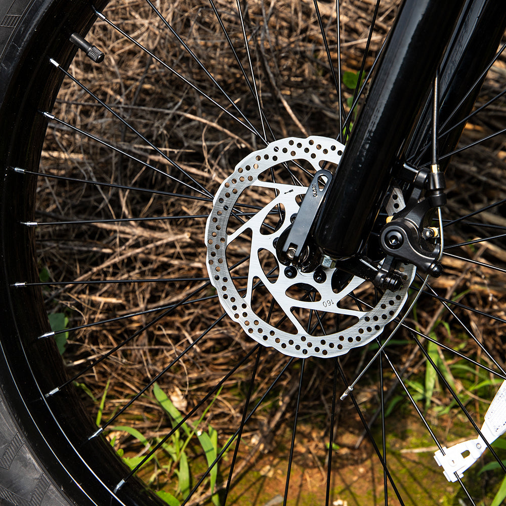 Professional Electric Bike